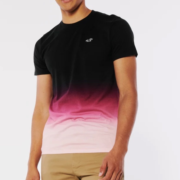 Hollister Other - HOLLISTER OMBRE LOGO ICON CREW T-SHIRT - NWT (L)